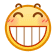 表情[ciya]-资源网站