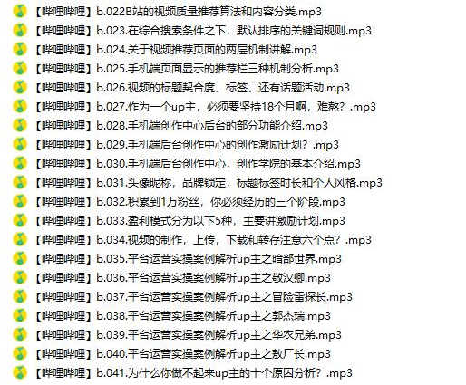 哔哩实操运营从0到20万粉【已完结】-资源网站