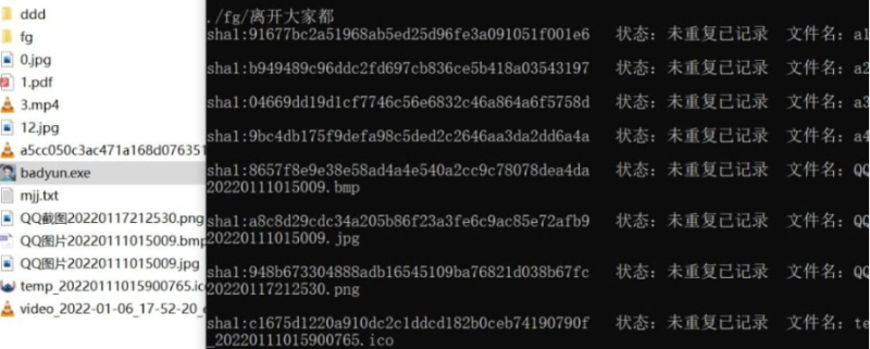 文件一键批量去重-自动递归删除-生成文件结构-资源网站