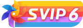 SVIP6 等级-SVIP6-资源网站