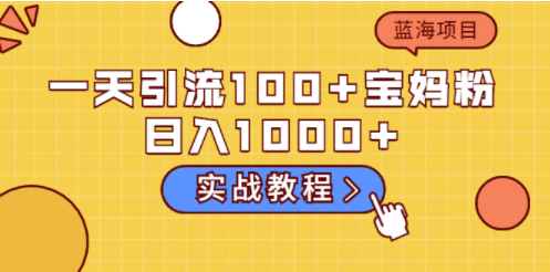 实战教程一天引流宝妈粉-资源网站
