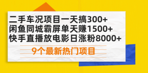 9个热门项目-二手车-闲鱼-快手-资源网站