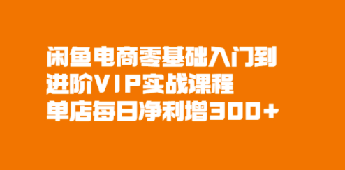 电商VIP实战课程店铺日净利润增加300-资源网站