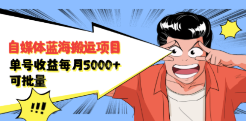 自媒体蓝海搬运项目课程-资源网站