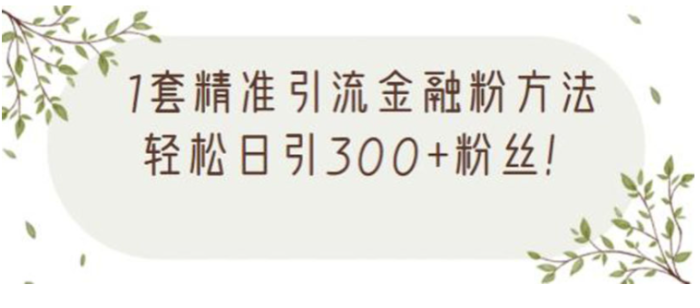 金融精准引流方法视频课程-资源网站