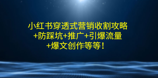 小红书穿透式营销收割策略-防踩坑-推广-引爆流量-爆款打造等