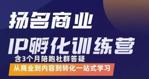 IP创业孵化训练营-从商业到内容再到转型-价值5980元-资源网站