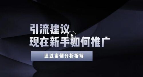 今年新手如何精准引流-给你4个实用的建议-让你学会适当引流-附案例-无水印-资源网站