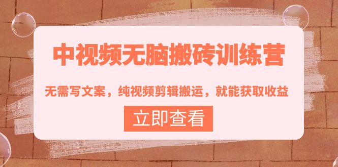 视频无脑搬砖训练营-不写文案-纯视频剪辑搬运-就能获取收益-资源网站