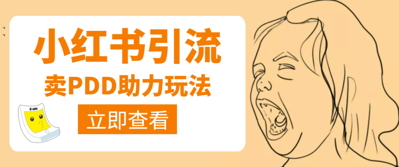 小红书卖拼多多助力项目-顺便引个流-视频课程-资源网站