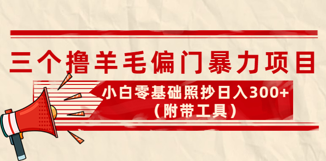 三个撸羊毛暴力项目-每天收入300+_附带工具-资源网站