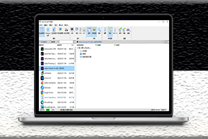 新版电脑Windows专业卸载工具-Total Uninstall-资源网站