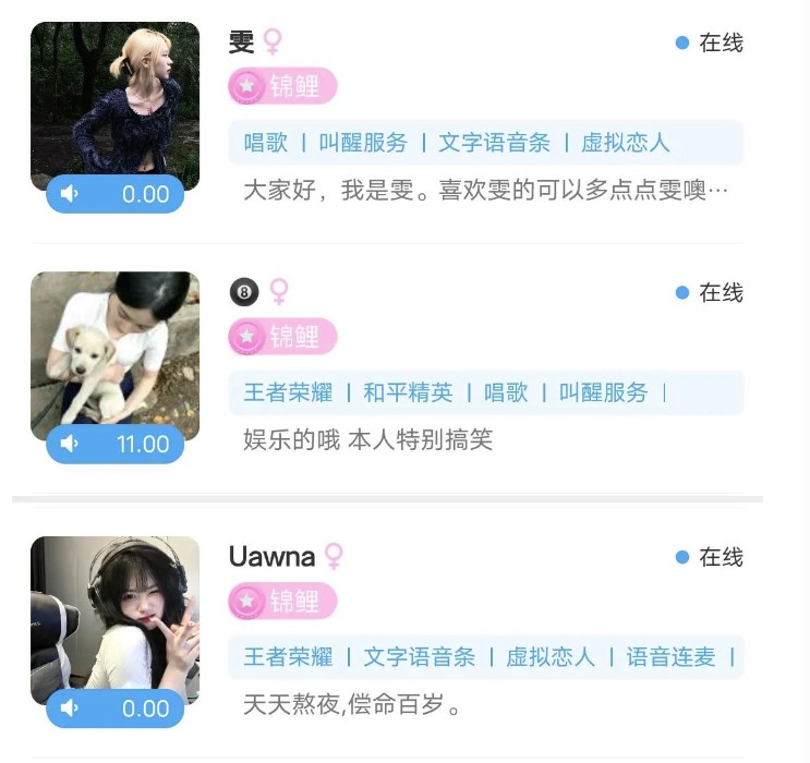 图片[10]-最新商业版游戏陪玩系统-附带语音聊天系统源代码