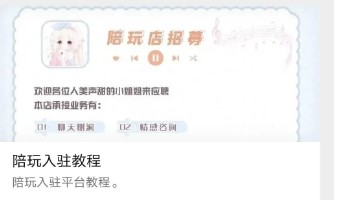 图片[3]-最新商业版游戏陪玩系统-附带语音聊天系统源代码