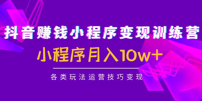 图片[1]-抖音小程序赚钱教程_各类玩法运营技巧变现-爱分享资源网