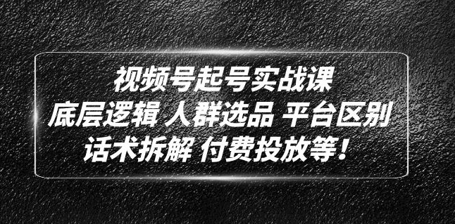 图片[1]-视频号起号实战课_底层逻辑_话术拆解_付费投放-资源网站