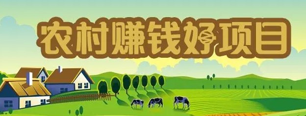 农村赚钱门路有哪些,农村做哪些事情最赚钱呢-资源网站