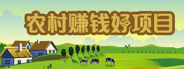 农村白手起家赚钱好项目-资源网站