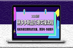 拼多多-新品打爆实操课程_轻松获取搜索自然流量-资源网站