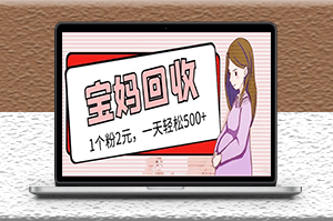 最新宝妈粉回收变现计划及胎教音乐高端变现玩法全套教程-资源网站