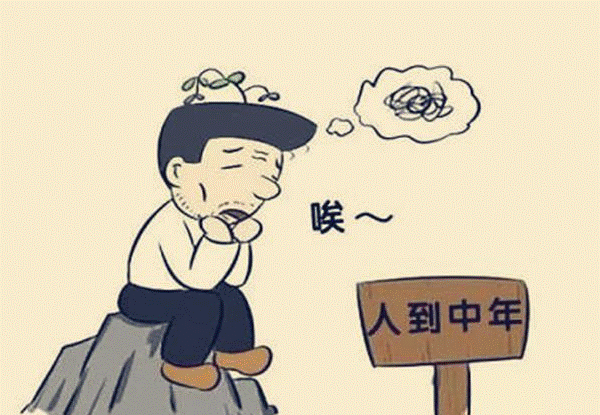 中年人创业适合做什么-资源网站