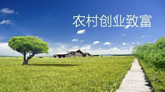 适合城镇的小生意项目大全-资源网站