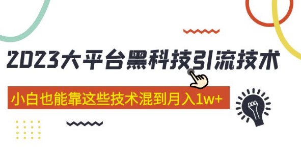 图片[1]-价值4899的2023大平台黑科技引流技术_小白也能月入1w+(共29节课)