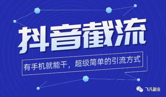 抖音精准截流玩法，4个人一个月变现10万-资源网站