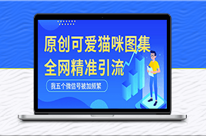 黑科技纯原创可爱猫咪图片_全网短视频精准引流-资源网站