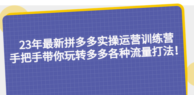 图片[1]-最新拼多多运营教程：手把手带你玩转多多各种流量打法-资源网站