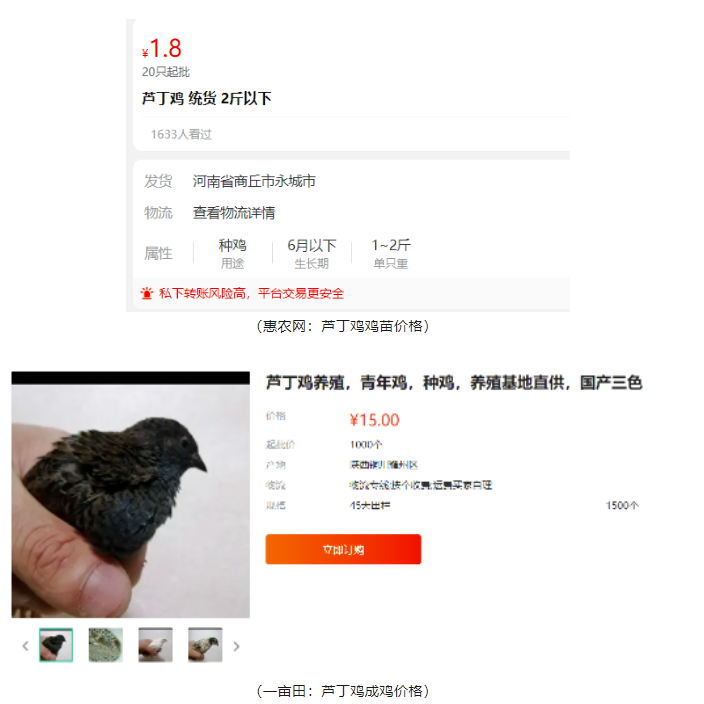 图片[2]-2000元投资，1个半月赚近3万！养殖暴利项目揭秘！-资源网站