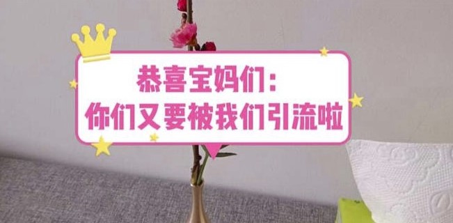 图片[1]-宝妈福利来袭！超详教程+222g资料-让你轻松引流！