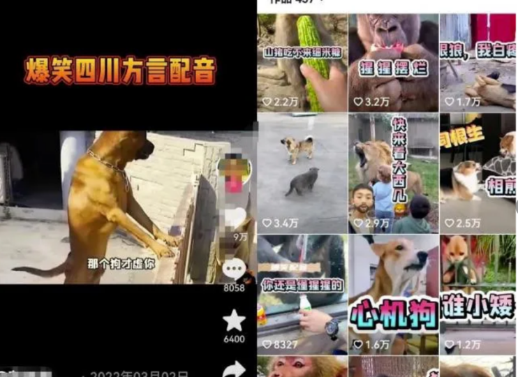 轻松月入5000！适合新手的搬砖项目推荐-资源网站