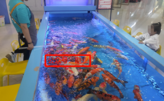 图片[1]-揭秘2023年最赚钱的新玩法