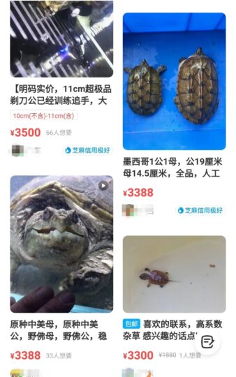 6000元买入，半年翻倍！这个小项目竟然如此神奇！-资源网站