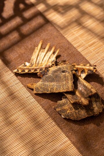 年赚几十万的冷门生意，每天900元轻松赚！-资源网站