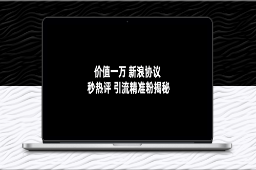 价值一万-新浪秒热评协议-引流精准粉揭秘-资源网站