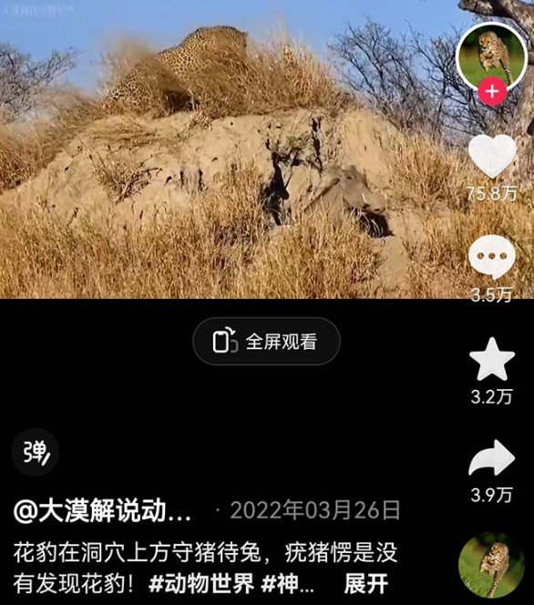 图片[2]-外面卖1699的国外动物中视频纪录片解说教程-资源网站