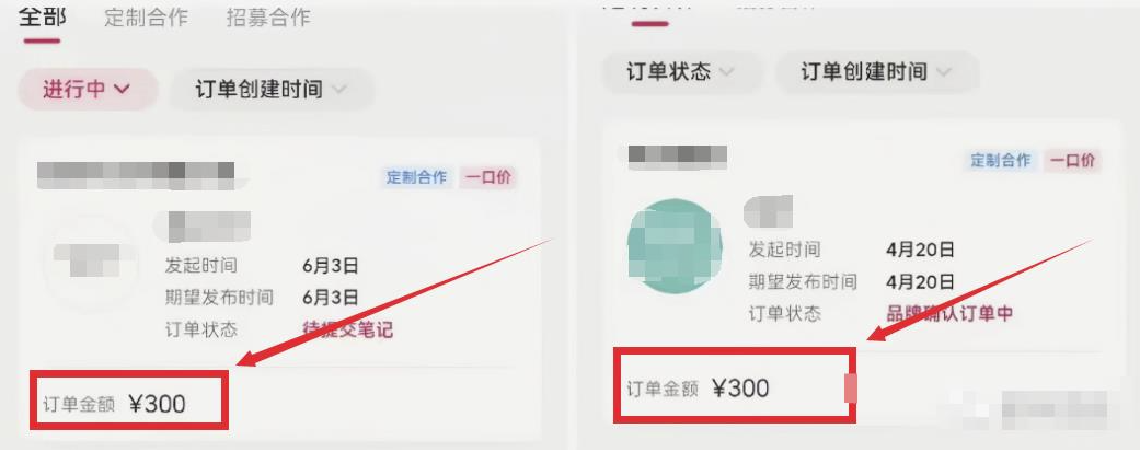 小红书商单玩法_一单赚200-300！-资源网站