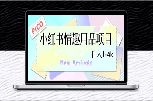 最新小红书情趣用品项目(日入过千)-资源网站