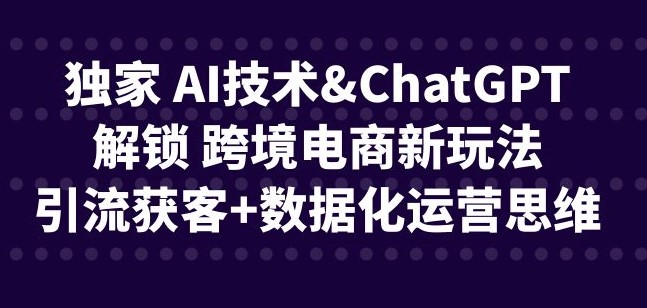 图片[1]-跨境电商新玩法_AI技术引流获客+数据化运营思维-资源网站