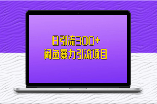 闲鱼引流项目_日引流300粉-资源网站