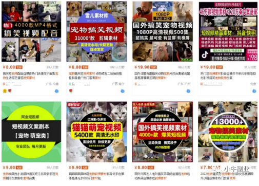 图片[3]-长期可以操作项目，多类目稳定操作-资源网站