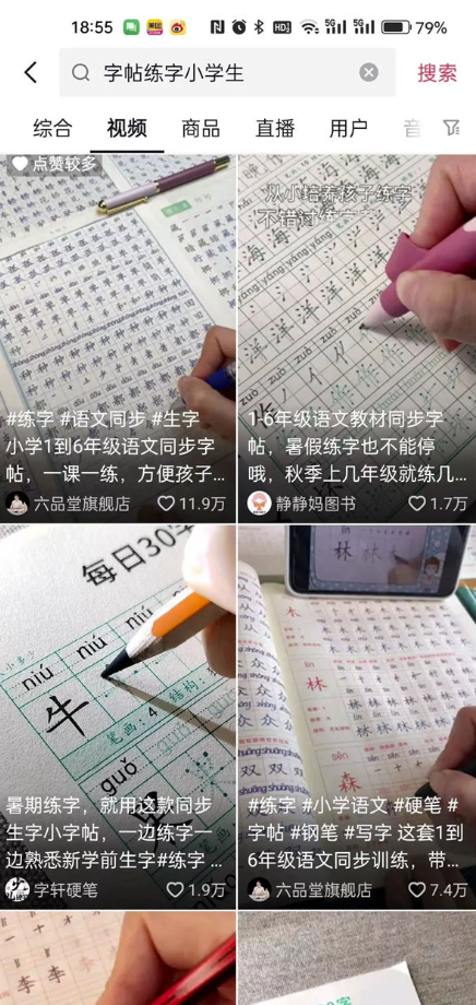 图片[3]-字帖项目：短视频制作教程-资源网站