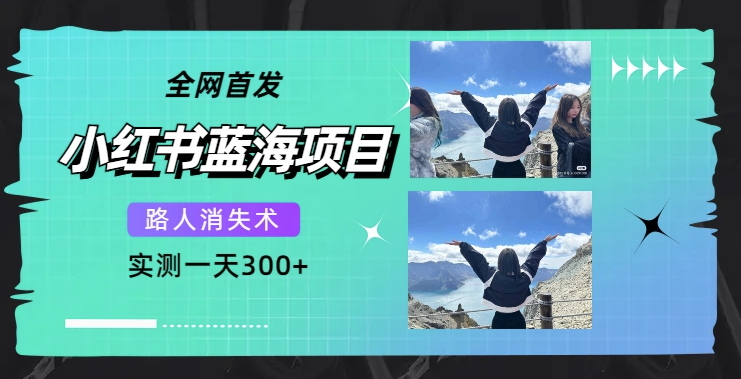 图片[1]-小红书蓝海项目：路人消失术_一天赚300+(附教程+工具)-资源网站