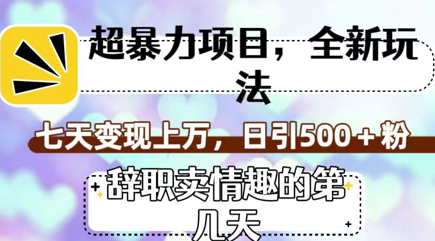 图片[1]-全新玩法暴利项目_卖情趣七天变现上万-资源网站