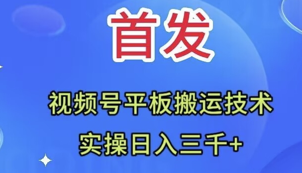 图片[1]-视频号平板搬运技术_日入三千＋(全网首发)-资源网站