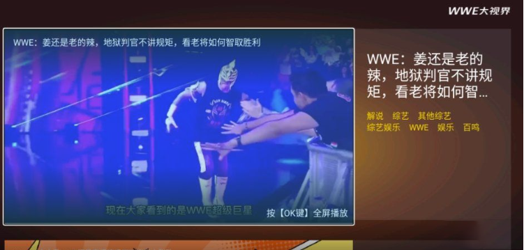 WWE大世界TV端：宅家也能感受摔跤激情-专属电视软件-资源网站