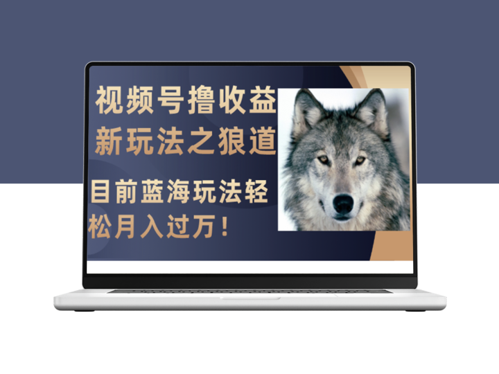 视频号新赚钱秘籍_狼道启示录_月入过万-资源网站
