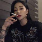 宋佳乐博客的头像-资源网站